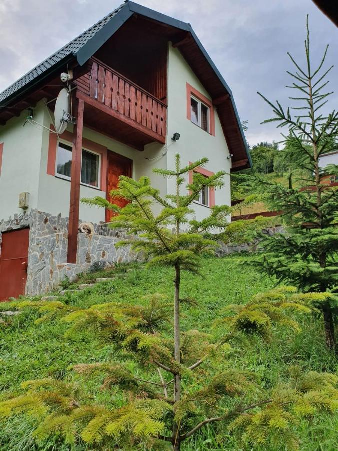 Villa Casa Dor De Ea Dîmbovicioara Exterior foto